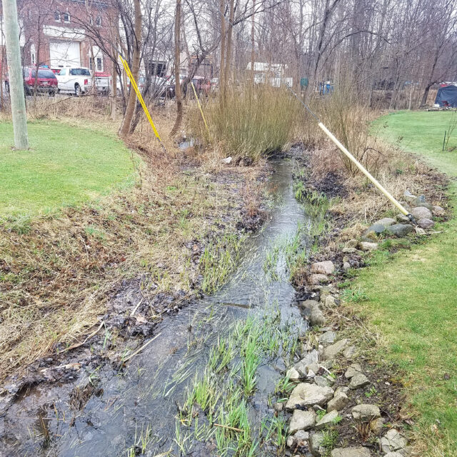 Wetland Deliniation